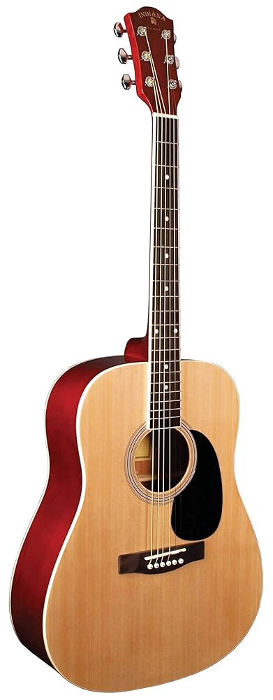 INDIANA Scout アコースティックギター s-l500.jpg