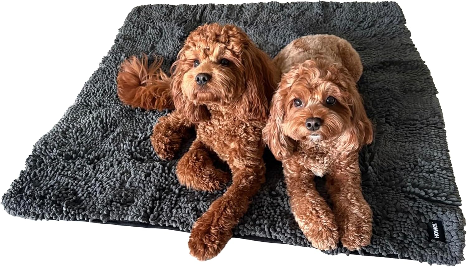 Throw Down Towel for Drying Dogs, 43" x 35", Ultra Absorbent Microfiber, Quick-Drying, Double-Sided Suede Chenille, Machine Washable, Soaks Over 2L, Grey Dog Bath Mat Towel