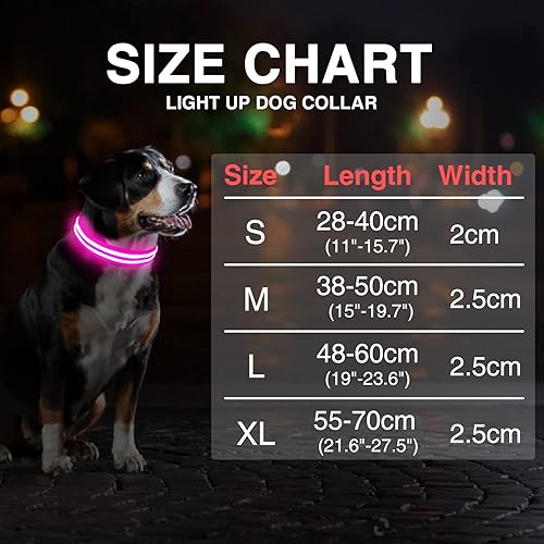 Miniatura 5 de MASBRILL Collar de perro con luz LED, recargable por USB, para caminar por la noche, impermeable, brillante, collar de perro iluminado intermitente