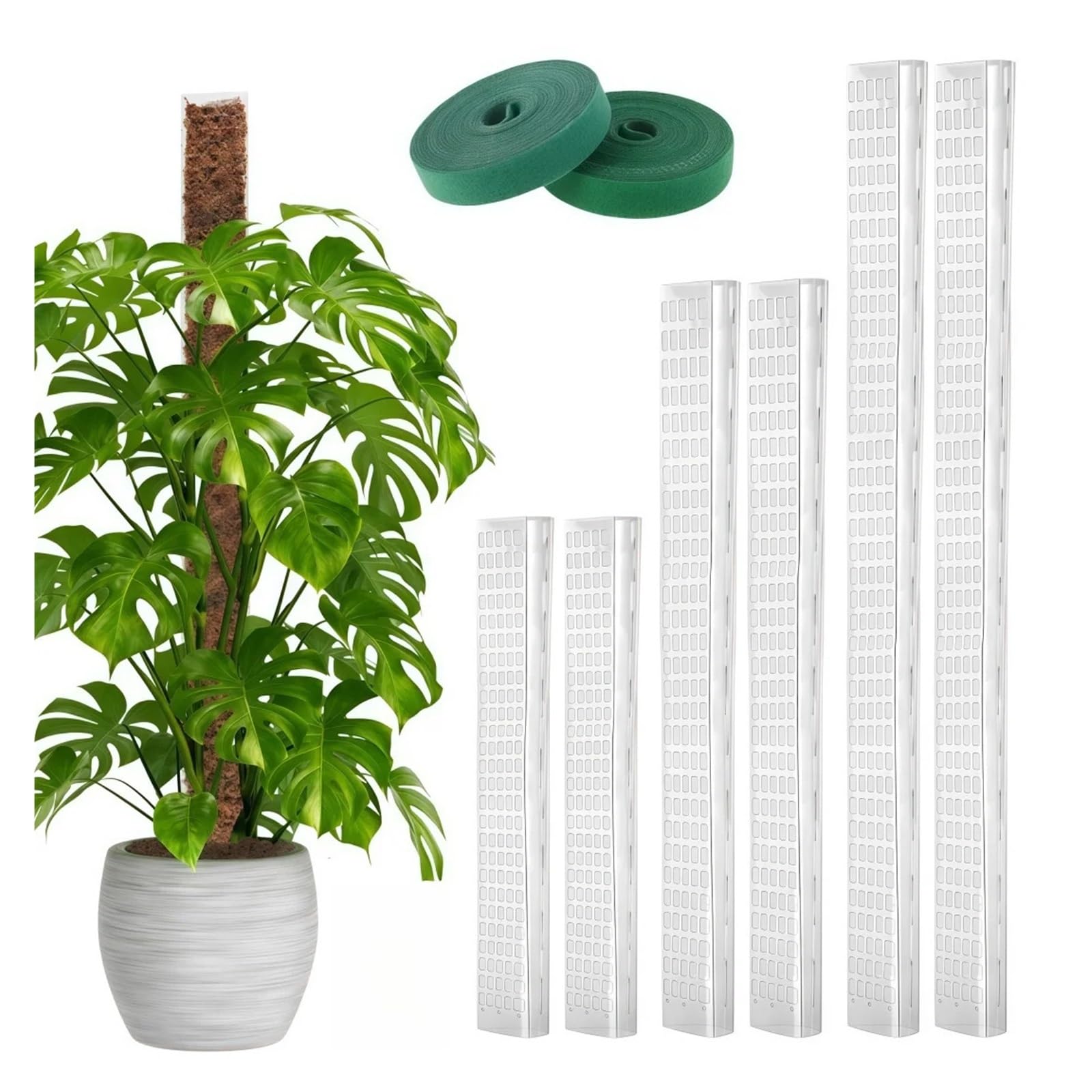 Tuteurs Pour Plantes Poteau en mousse 24/36/48 pouces for Monstera | Grands poteaux en forme de D, plantes grimpantes en Pot, mousse de sphaigne, piquet de croissance de jardin(48inch-4pack)