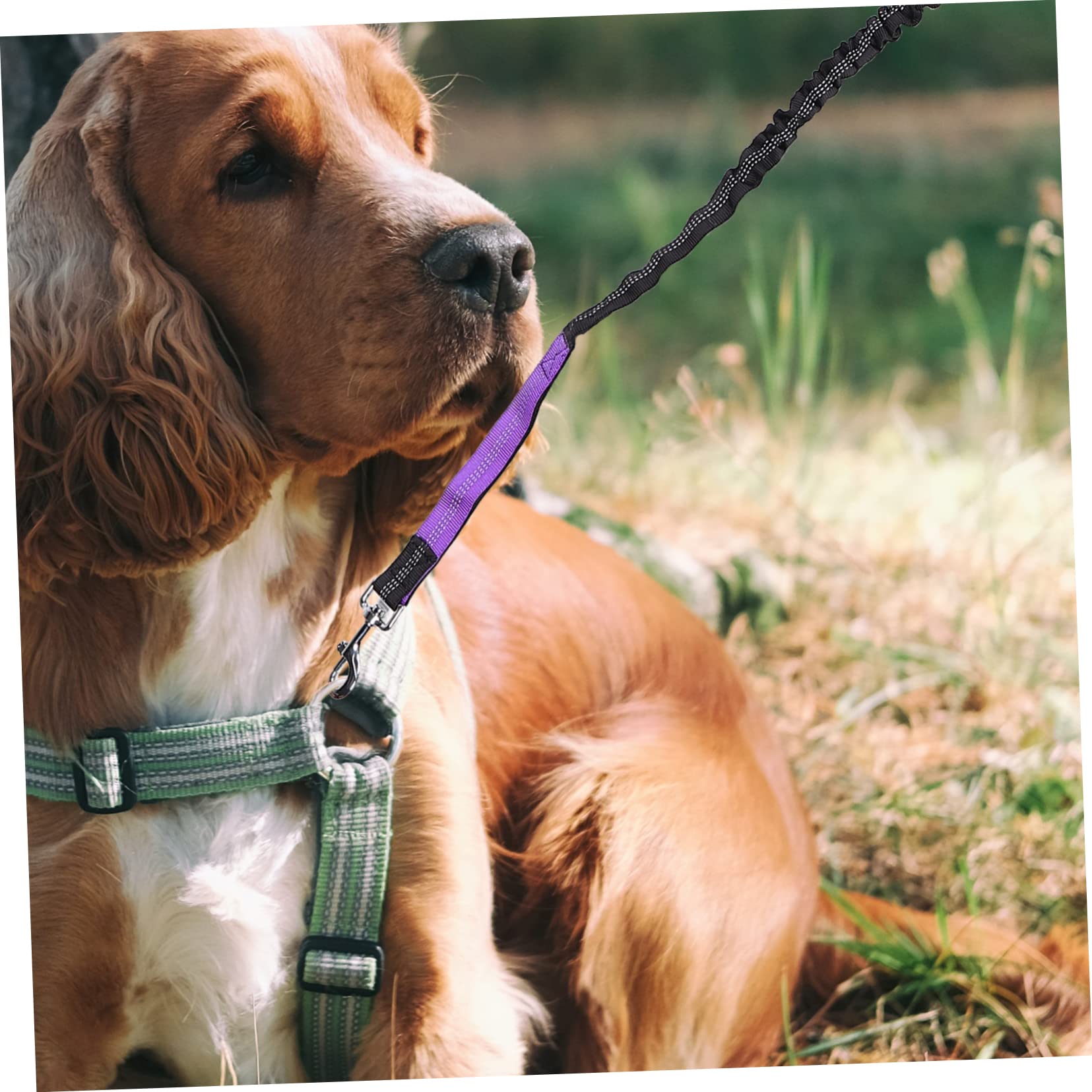 Mikikit Hands Waist Dog Leash for Running and Walking Pet Leash with Reflective Stitching for Safety Durable Elasticity for Exploration