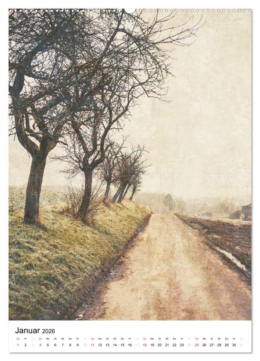 Landschaften, von Licht erfüllt (hochwertiger Premium Wandkalender 2026 DIN A2 hoch), Kunstdruck in Hochglanz: Landschafts- und Sehnsuchtskalender (CALVENDO Orte)