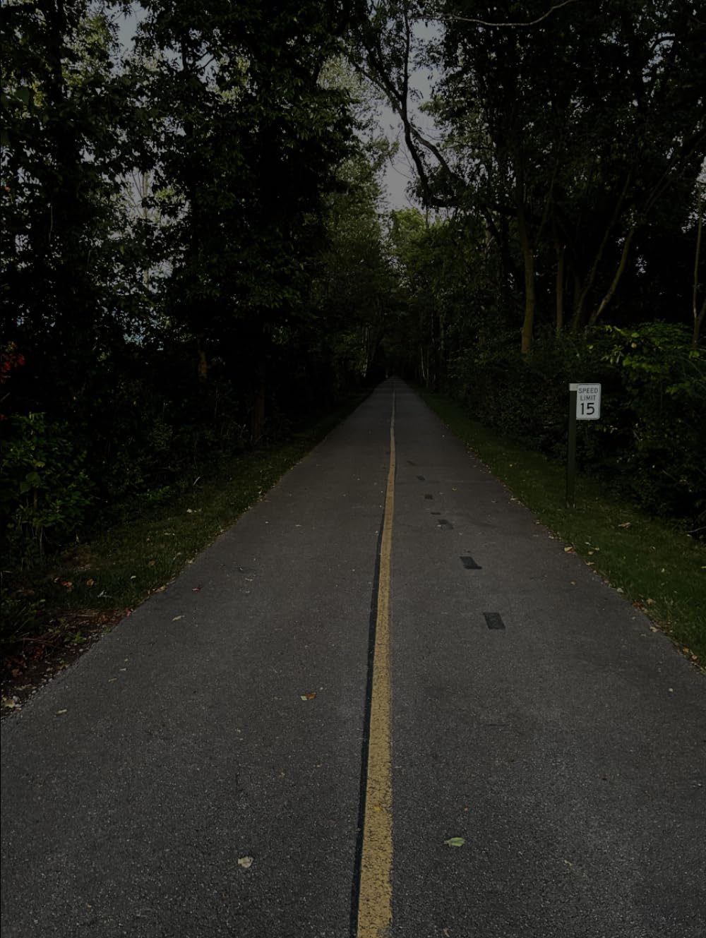 Mozzy's Lens Volume III l'album photo idéal pour inspirer vos escapades