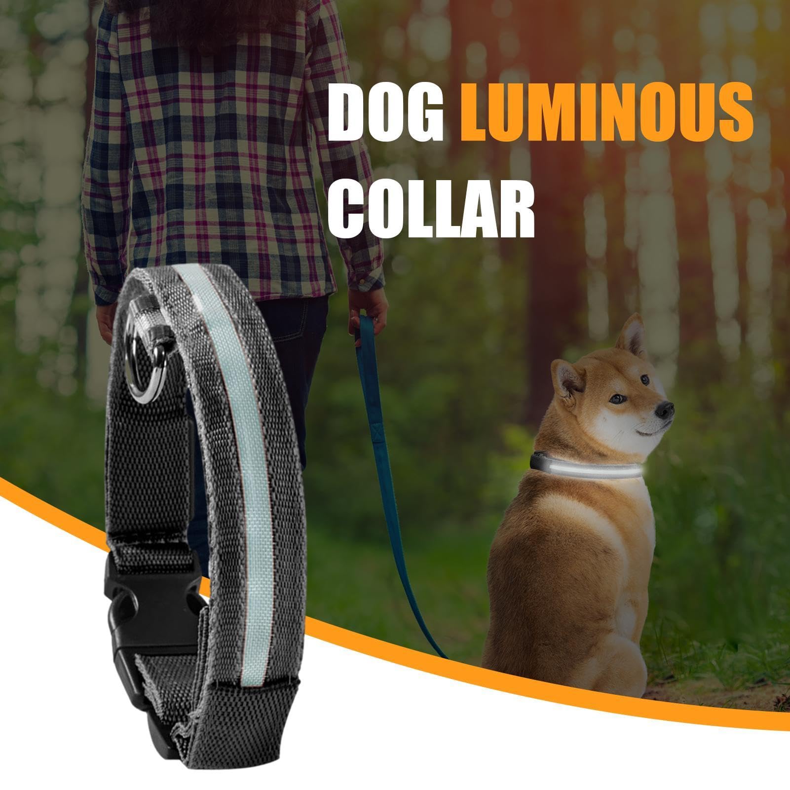 LED | Collare luminoso lampeggiante per cani, collari regolabili che | brillano al buio per cuccioli, cani di taglia media e piccola.