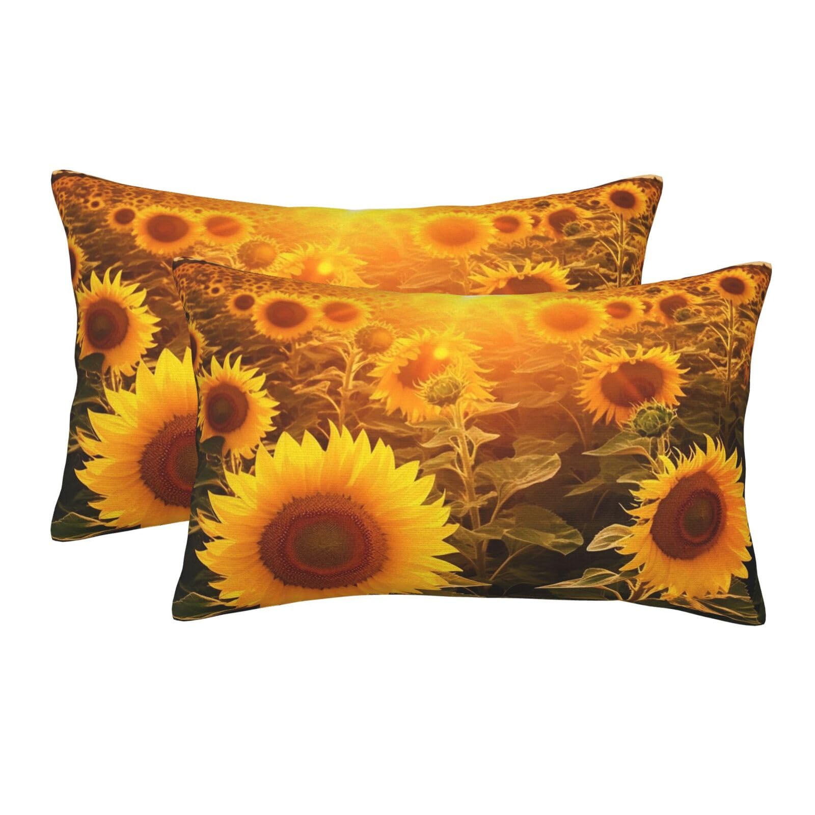 2 Pack Pillow Cases with Hidden Zipper, Soft Breathable Pillow Covers for Hair and Skin, Sunshine Sunflower Field Pillowcases 20"x30" Bed Pillow Protectors Cover for Sleeping Gifts