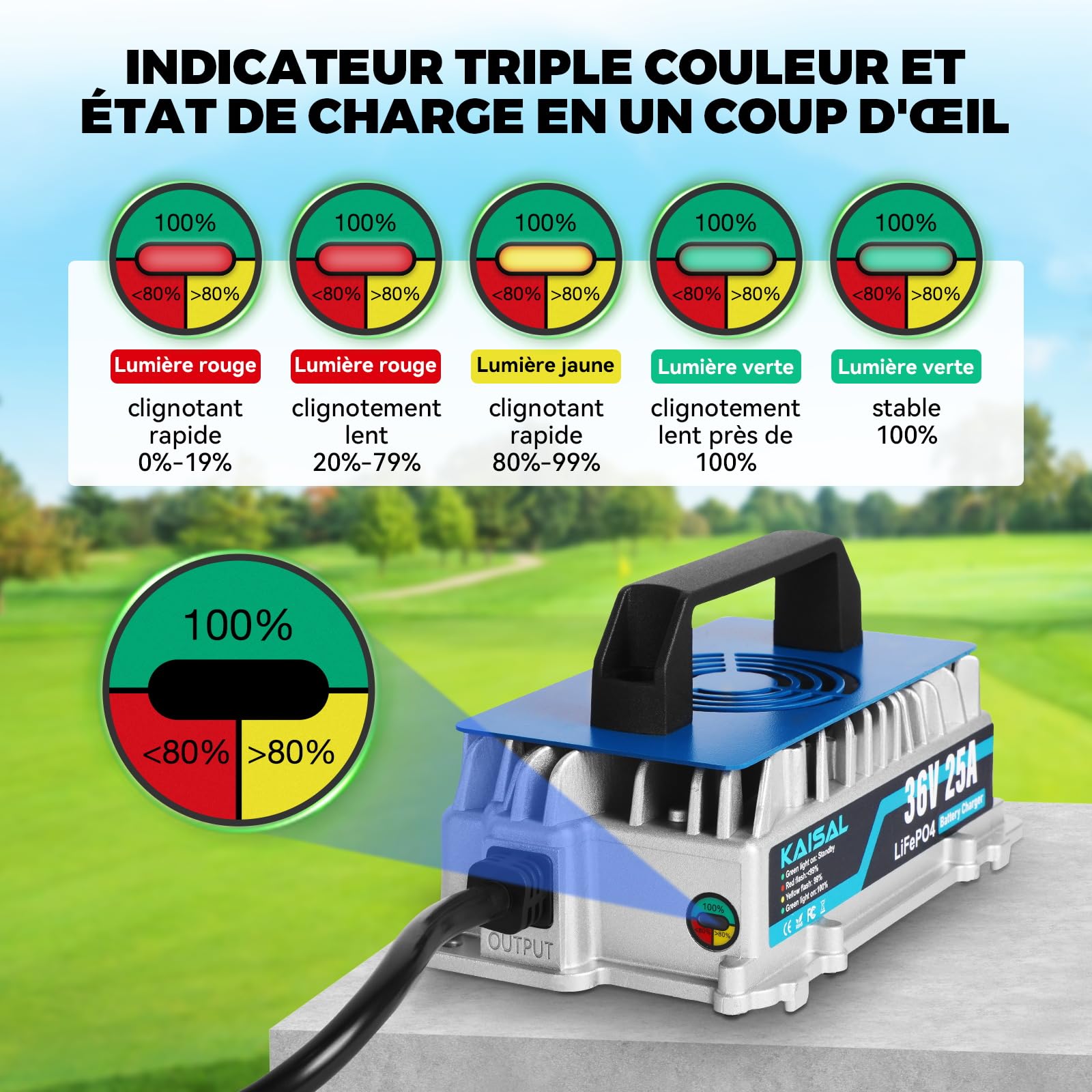 KAISAL 43.8V 25A Chargeur de Batterie LiFePO4 pour 36V(38.4V) Batterie LiFePO4, 0V Activation Chargeur Batterie Lithium 36V, IP67 étanche，pour Voiture de Golf, RV et énergie Solaire