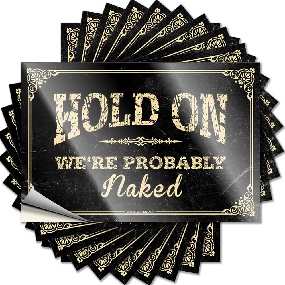Funny Sticker Men Durable Vinyl - Hold On We're Probably Naked Cover for Inside Use(8X12CM)