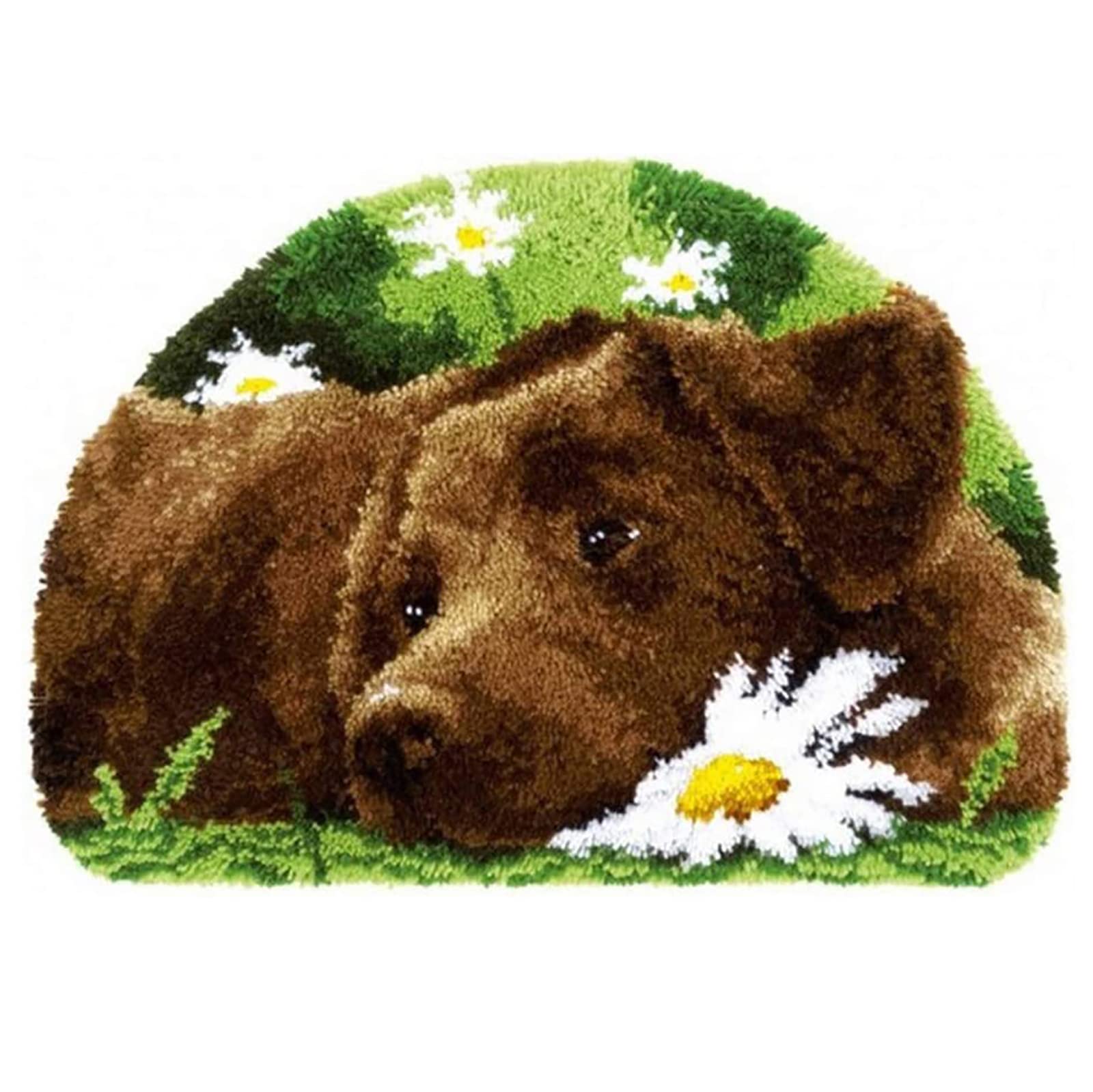 Zfflyh Dog Latch Hook Kits For Adults Kids Rug Tapestry Mat Kits Unique Shape Pre-Printed Pattern Crochet Yarns Embroidery Home Decoration 20X15in,