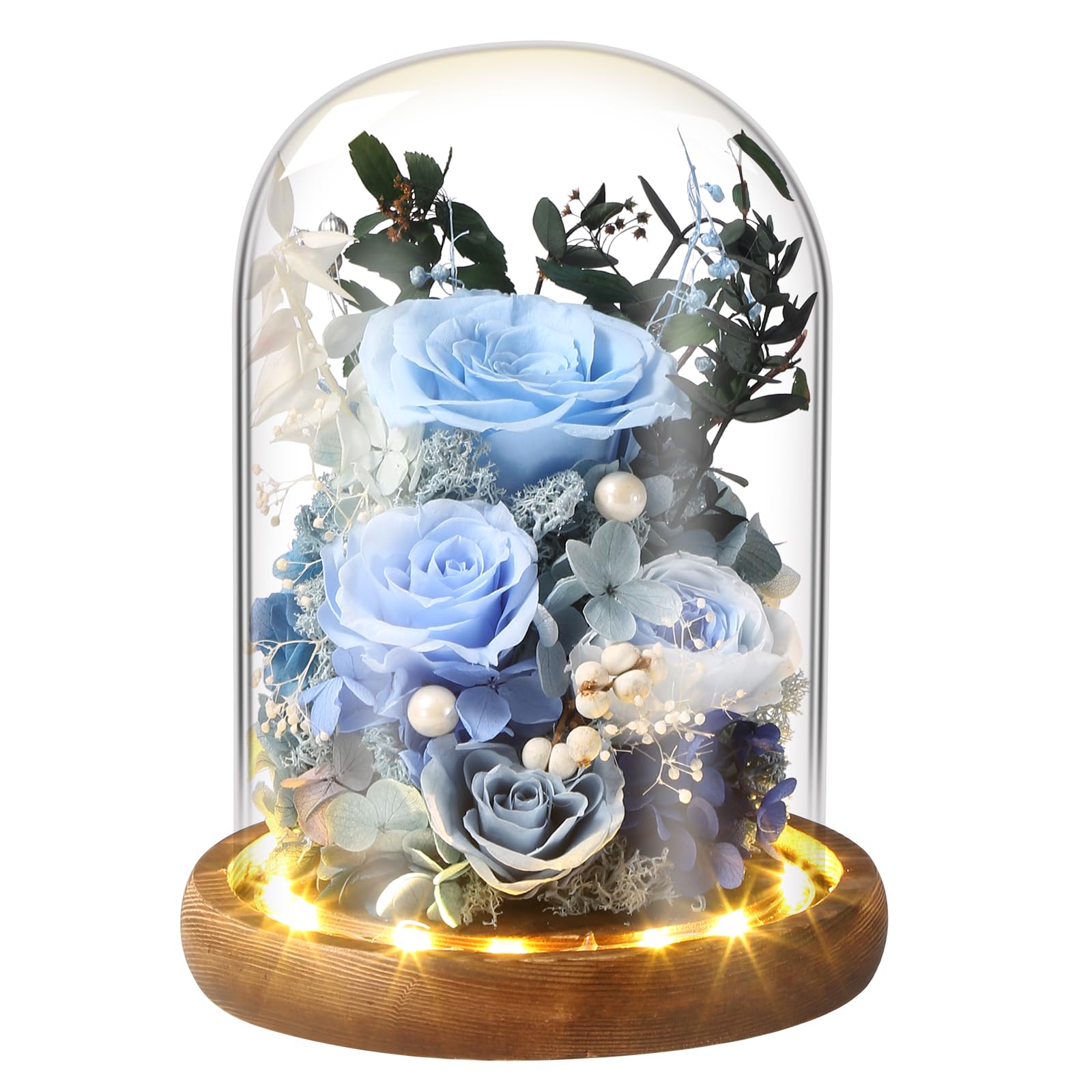 Amazon.com: Laladeyek Preserved Rose in Glass Dome - Long-Lasting