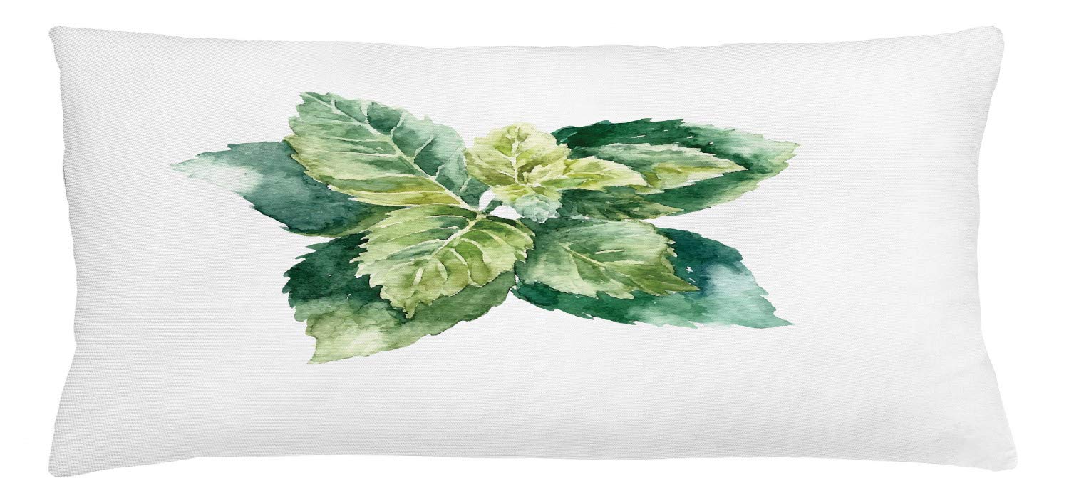 ABAKUHAUSMint Throw Pillow Cushion Cover, Watercolor Botanical Herbs Leafage Culinary Food Culture Retro Eco, Decorative Square Accent Pillow Case, 36 X 16 Inches, Green Avocado Green