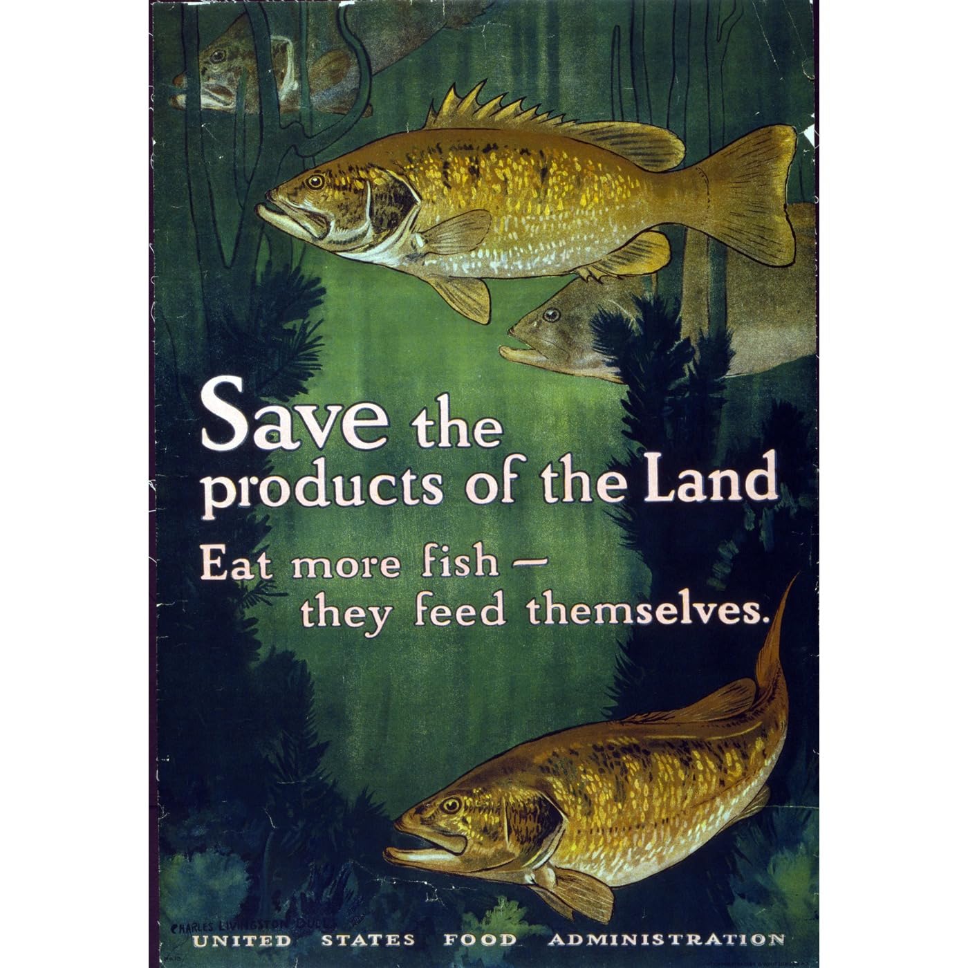 Impression giclée Save the fish ARTICULOZY 61x45.7 cm pour poster mural - 2