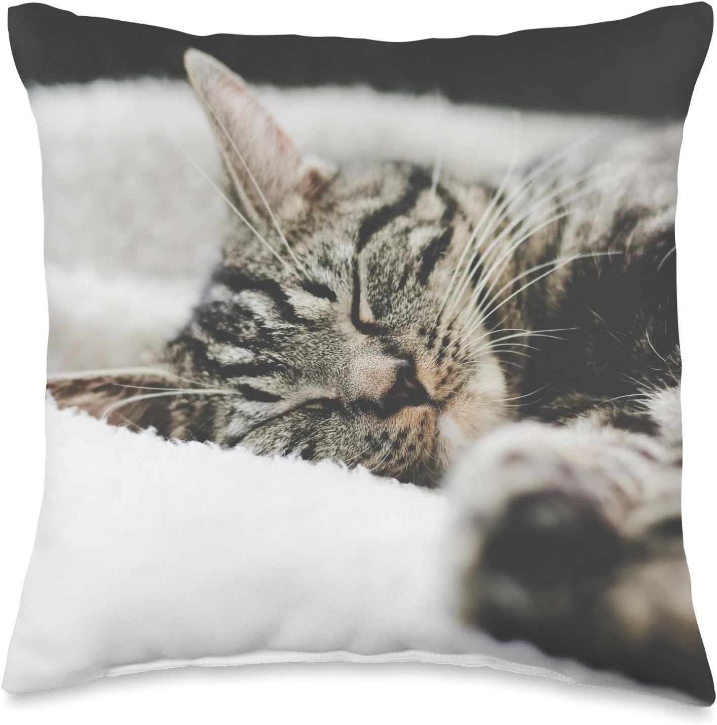 Tabby Cat Throw Pillow