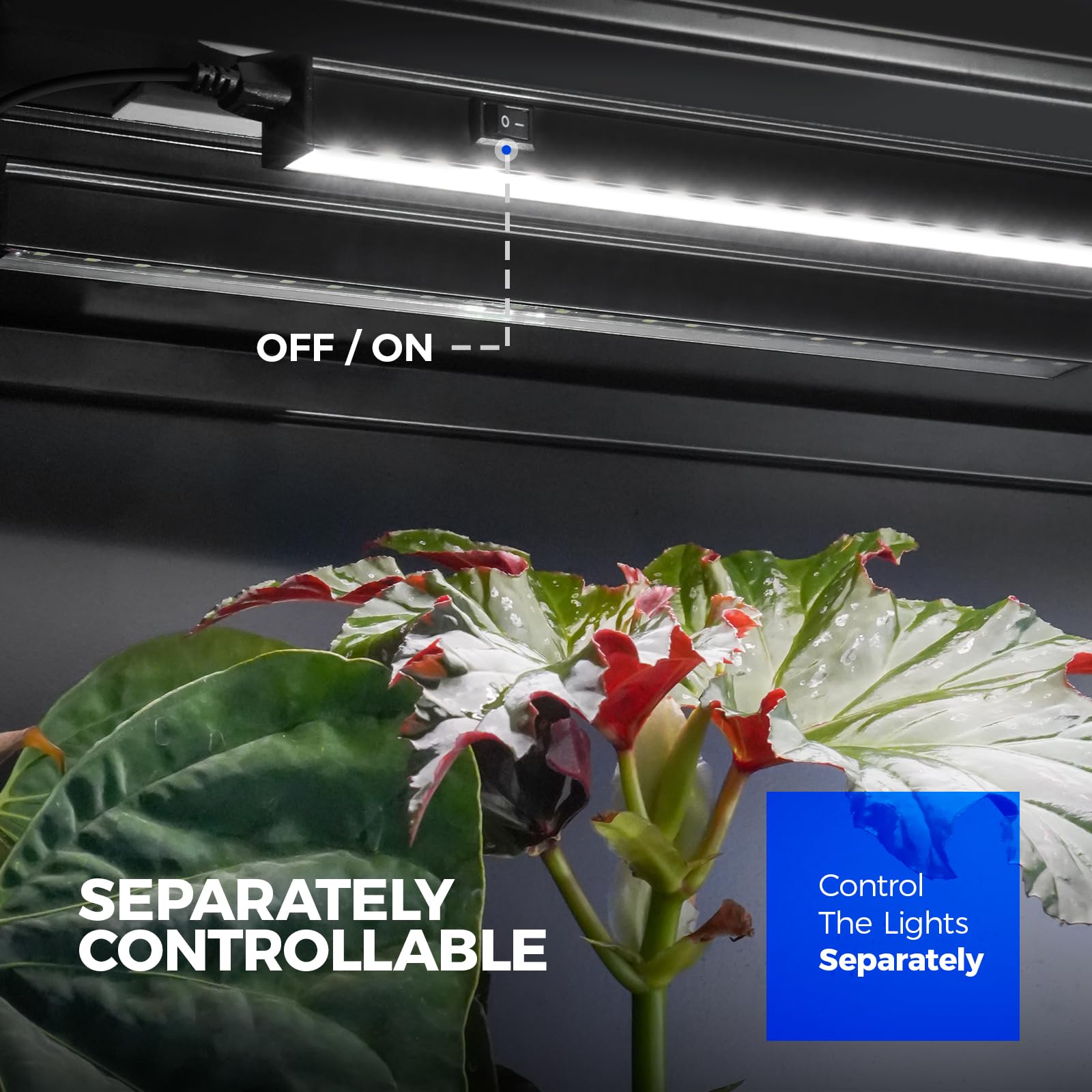 Barrina T5 Lampe Plante Interieur, 5000K,59cm, Lumière Solaire à Spectre Complet, Connectable, Couvercle Noir, Magnétique, Bande LED de Lumière de Croissance avec Interrupteur, Plug and Play,Pack de 4