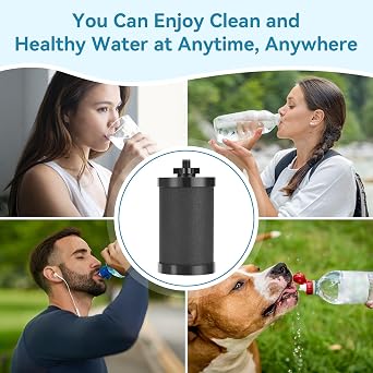 2 PCS 2387 Pro Replacement Water Filter, Compatible with Alexapure Water Filtration System Has a 5000 Gallon Throughput Capacity for Outdoor Camping, Emergency Water Use (Black)