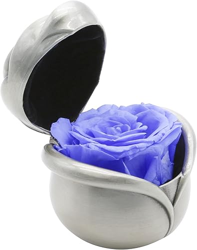 Miniatura 5 de Maymii - Flores hechas a mano rosas nunca conserjadas flores inmortales de lujo rosas frescas flores de vida eterna para seres queridos regalo para