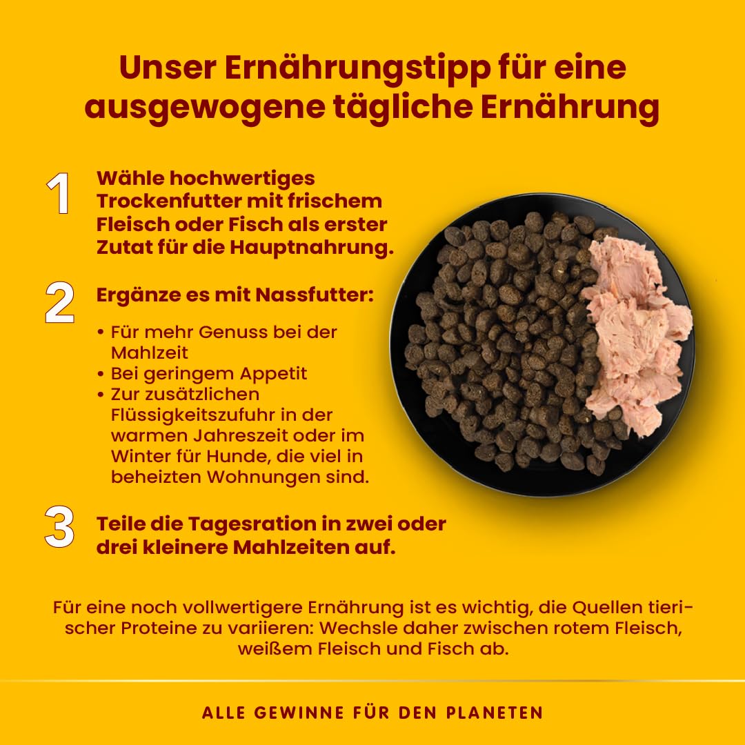 Almo Nature HFC Complete Nassfutter – Isländisches Lamm Mit Karotten, 85 G (17 Stück), Glutenfrei, Monoprotein Für Erwachsene Hunde