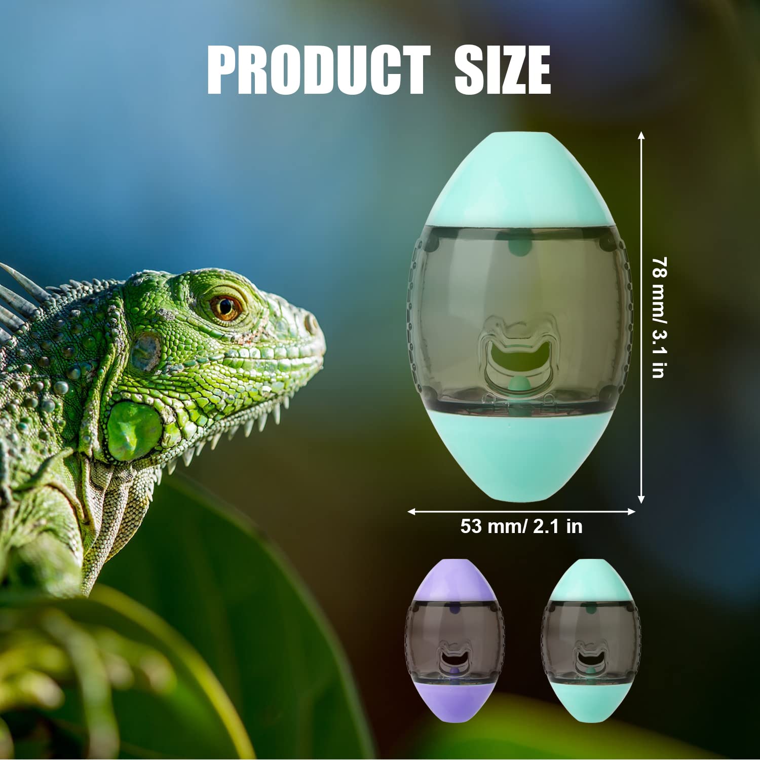 Bearded Dragon Toy - Image 2