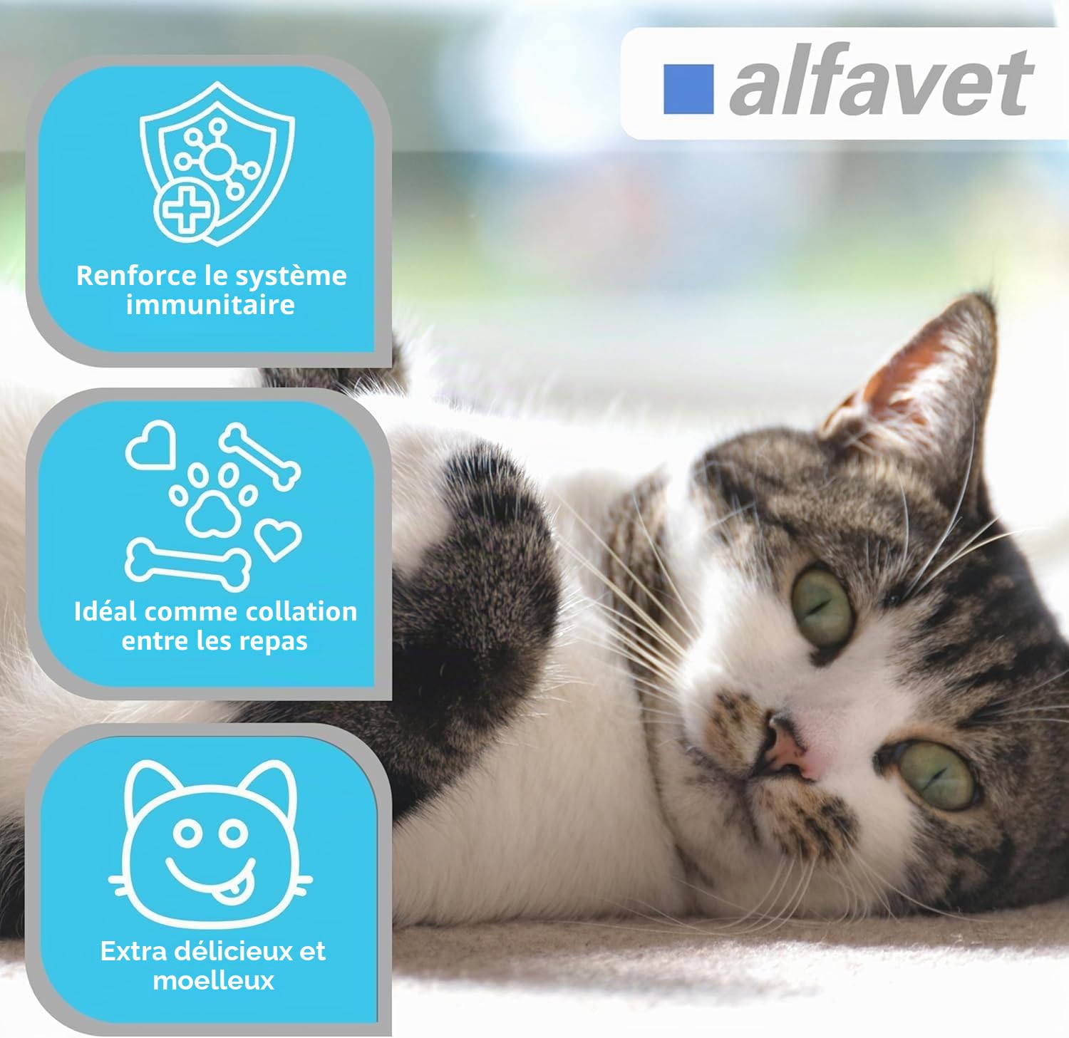alfavet FeliGum L-Lysine en Cas de Coryza, complément Alimentaire pour Chats, Sachet de 120 g, Environ 60 pastilles à mâcher