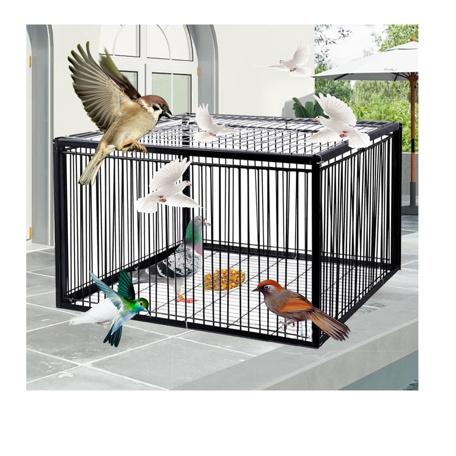 Trampa para Pájaros con Entrada Trampa para pájaros Jaula de Hierro para Palomas de Exterior. Trampa antiescape, Sistema de Captura automático(Black,60 * 40cm)