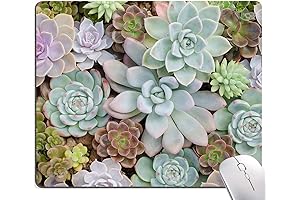 Succulent Cactus Mouse Pad - A Prickly Addition to Your Desk's Oasis