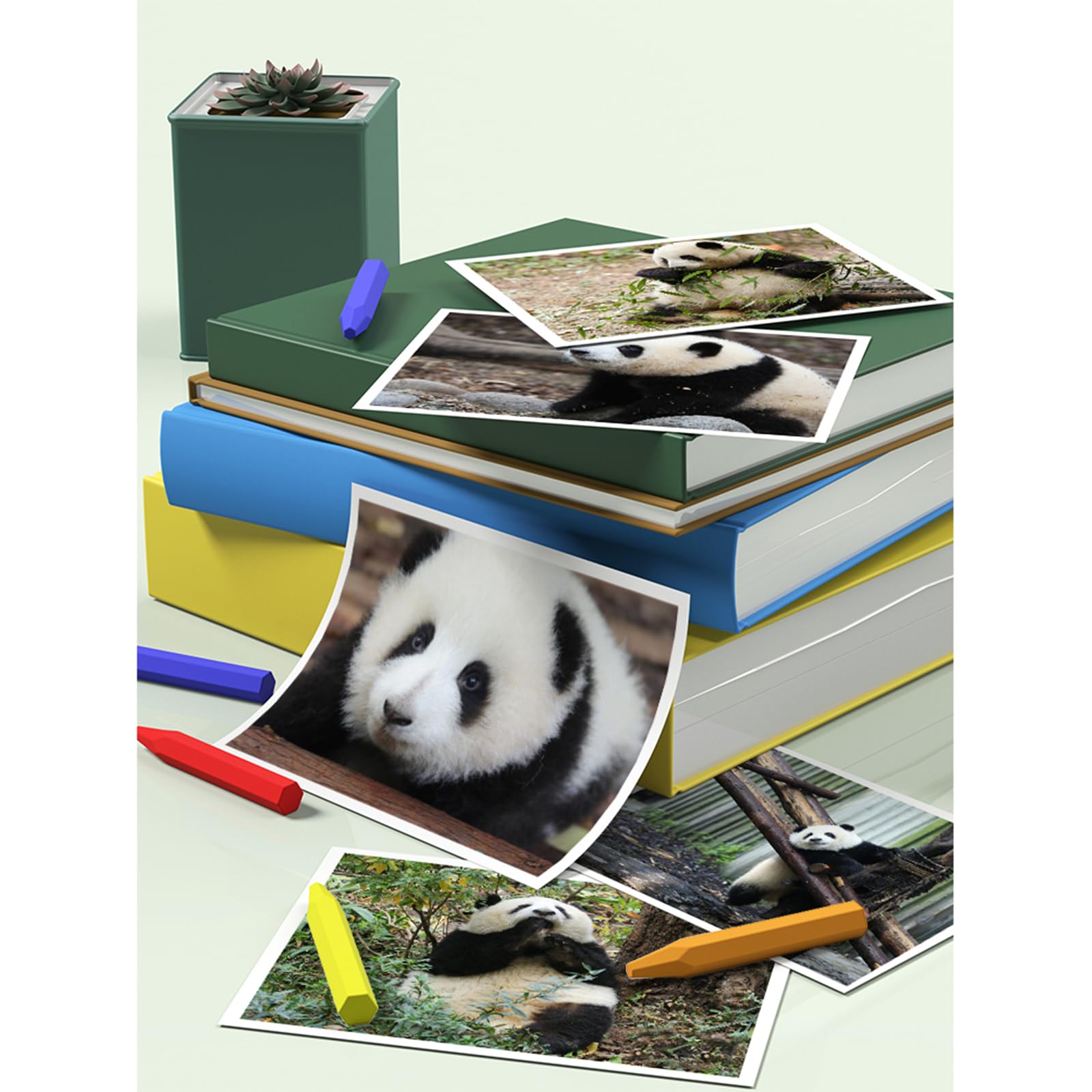 ポスト様 2014年&2015年 パンダ パンダ模様の郵便ポスト、動物園前に出現！