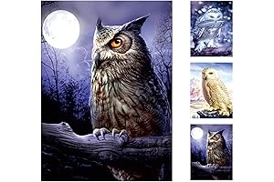 Incredible Glass-Free 3D Lenticular Owl Poster