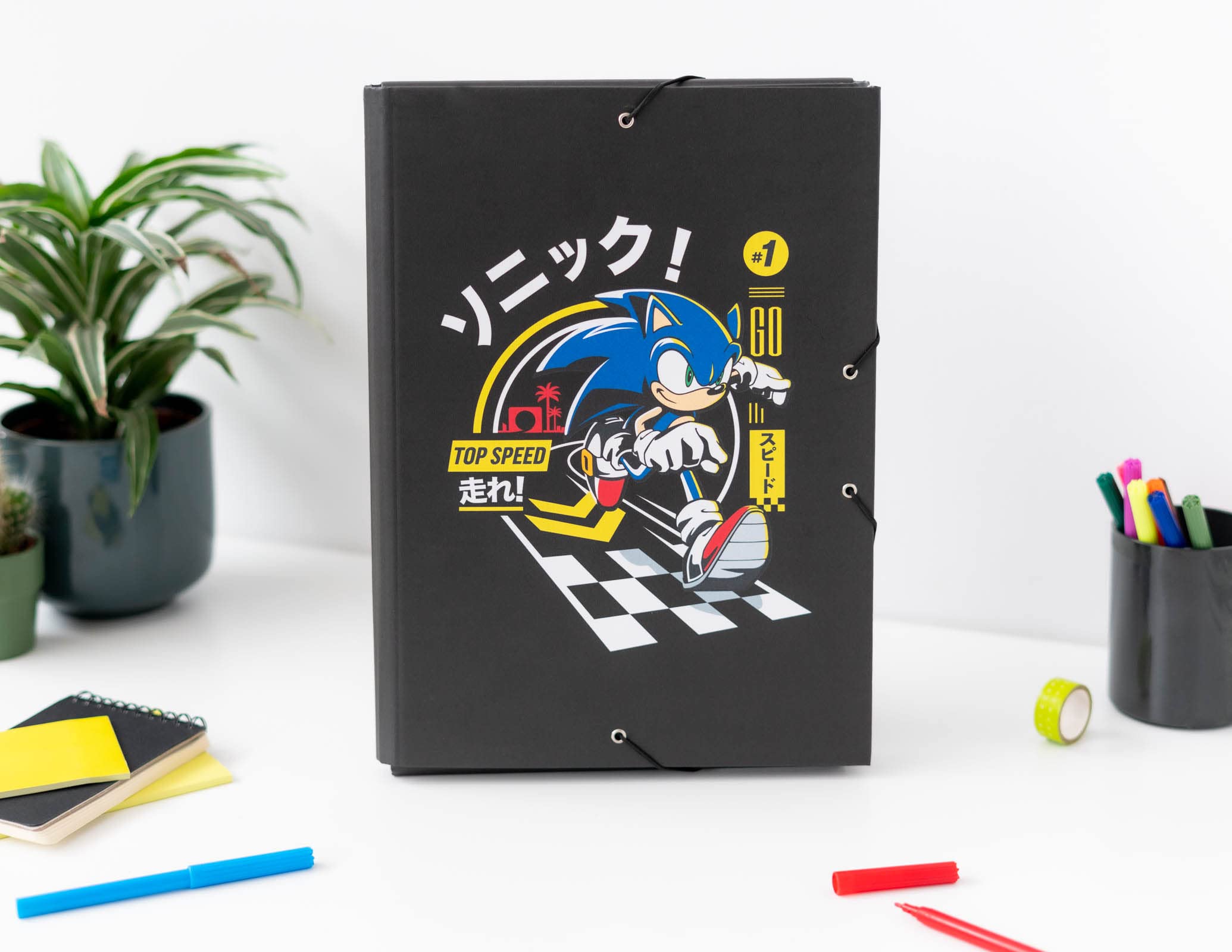Grupo Erik: Sonic Hard File