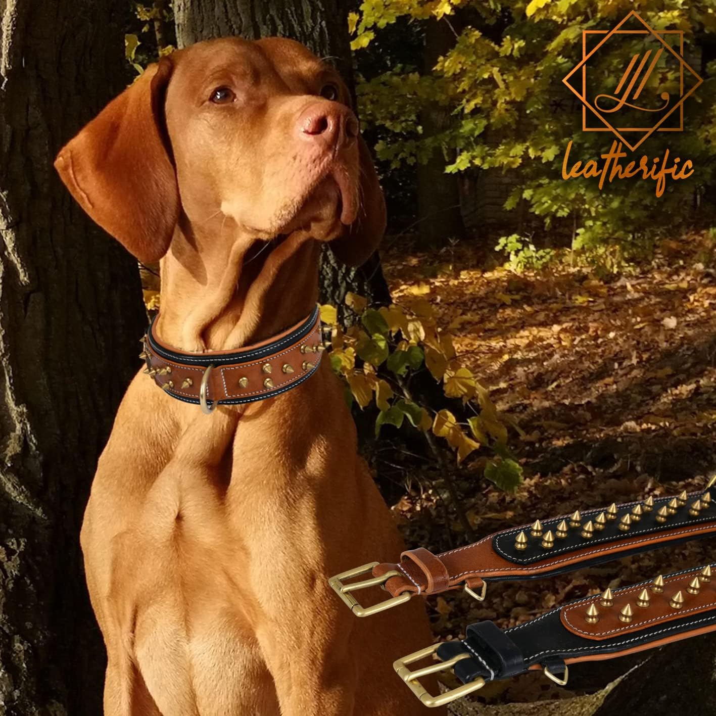 Spiky Series Heavy Duty Spike Dog Collar | Premium Genuine Bridle Leather, Padded, Strong, 2" Wide, for Large Breeds, Black Brown Charcoal, L fits Neck 18" to 22"