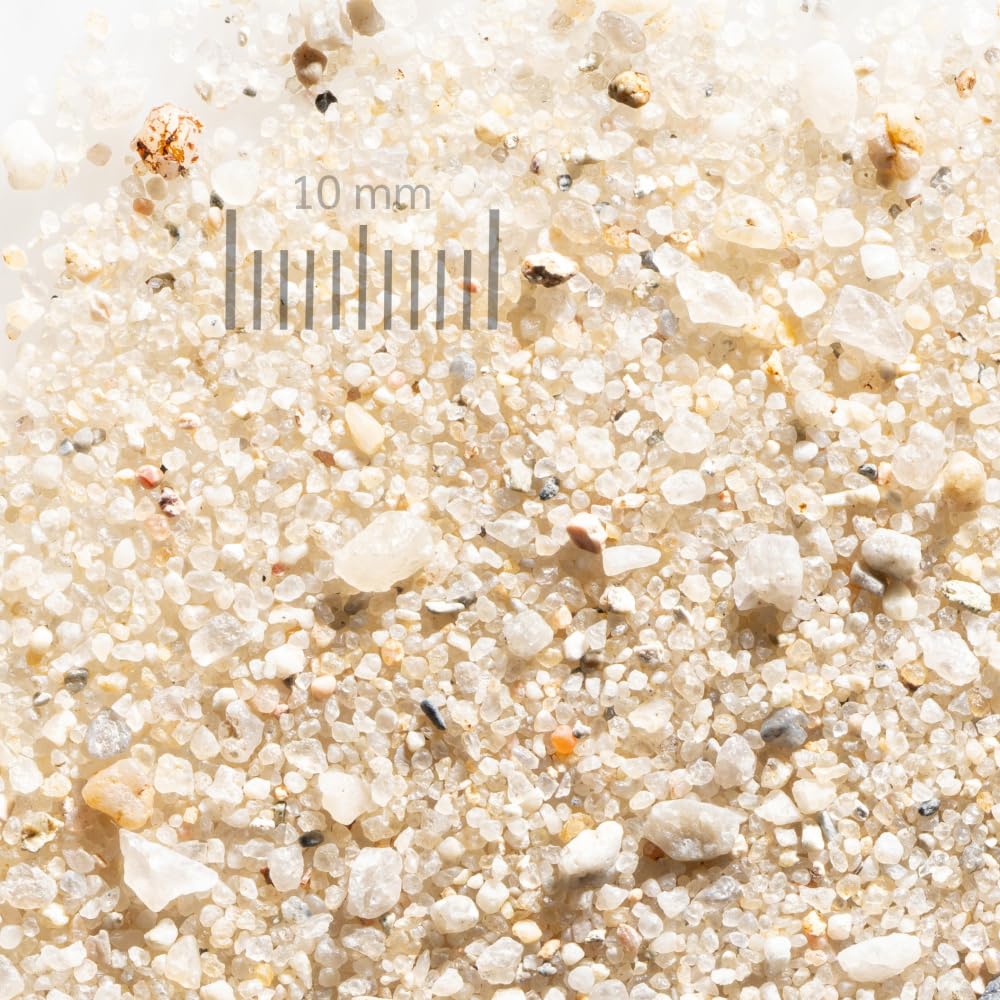 feuergetrockneter Rasensand 0,2-2mm | Quarzsand zum Rasensand | Rasensand für Tropdressing und Aerifizieren | (500 kg)