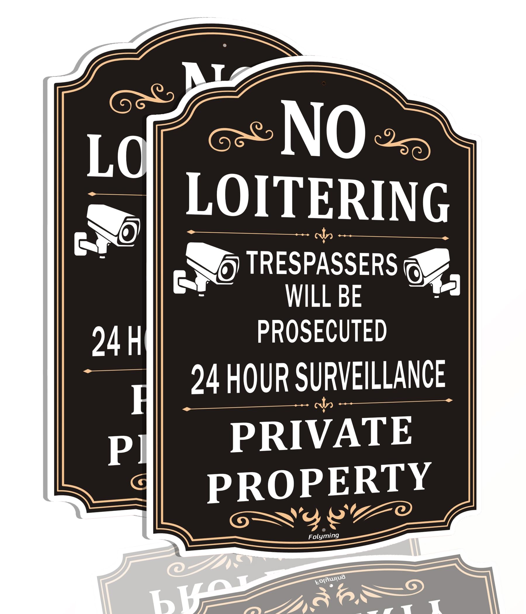 Paquete de 2 letreros de propiedad privada No Loitering Private Property 24 Hour Surveillance Trespassers Will Be Prosecuted de 10 x 14 pulgadas, letreros de propiedad privada de metal reflectante,