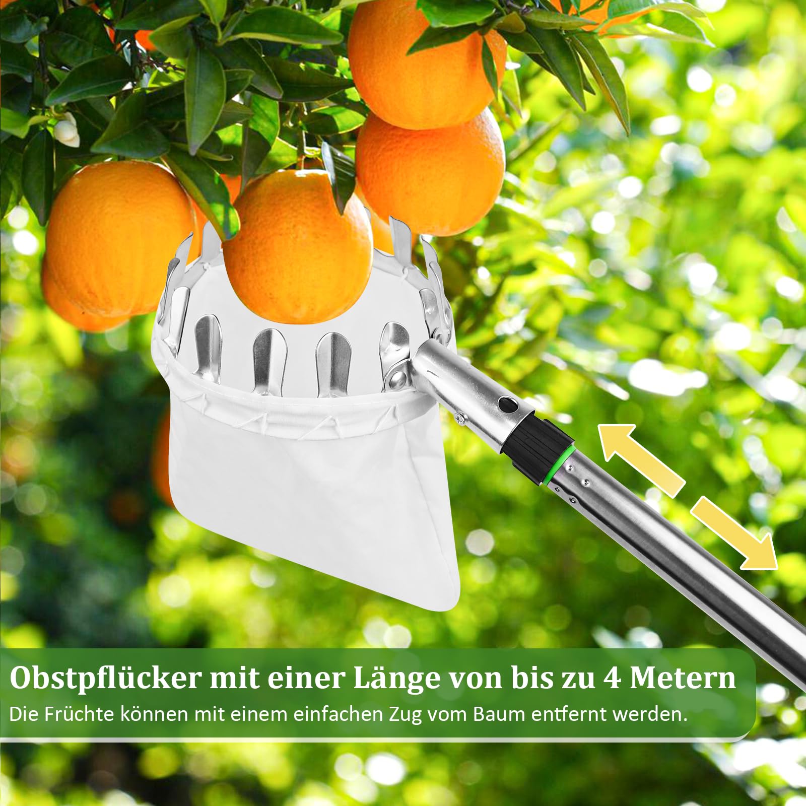PRZRAO 4m Recogedor de Frutas con Telescópico, Recogedor de Frutas Diámetro 16 cm Recogedor de Manzanas con Pértiga Telescópica Ligera de Acero Inoxidable y Bolsa de Algodón para Manzanas Cítricos