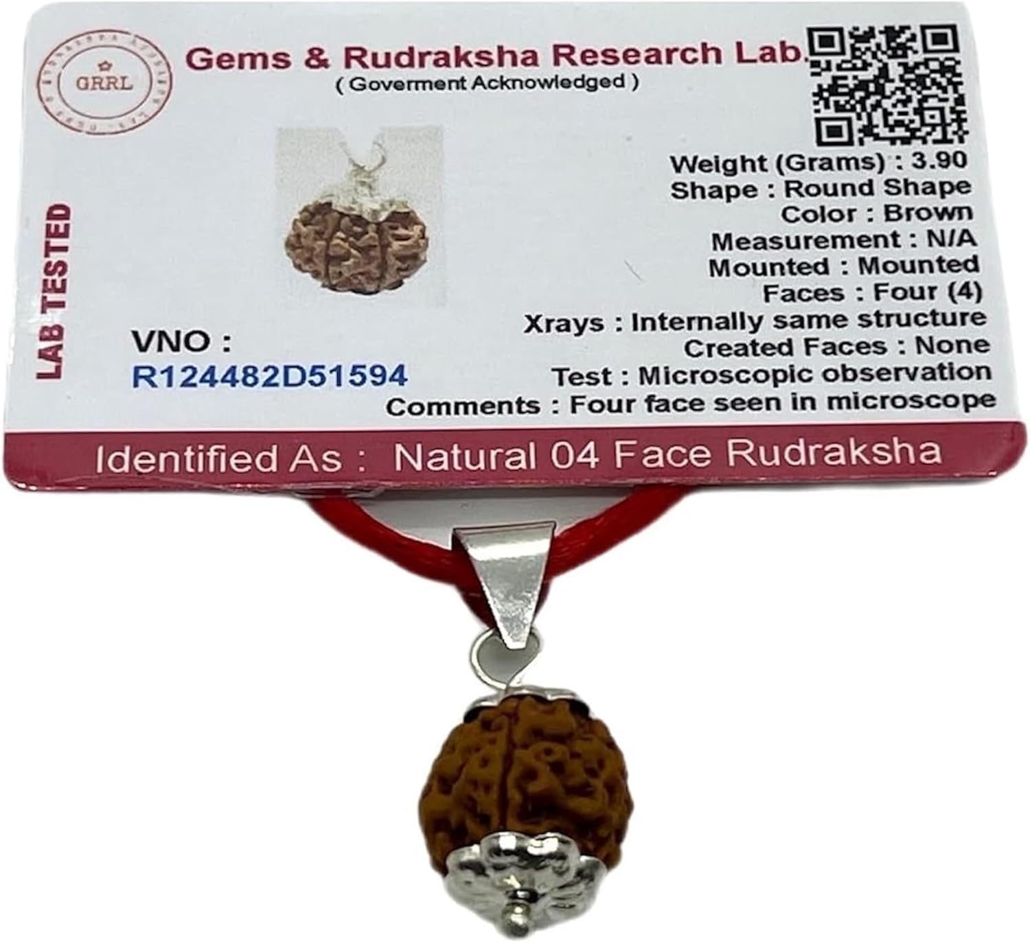 Certified 4 Mukhi Rudraksha Pendant Necklace - Root Chakra Harmony