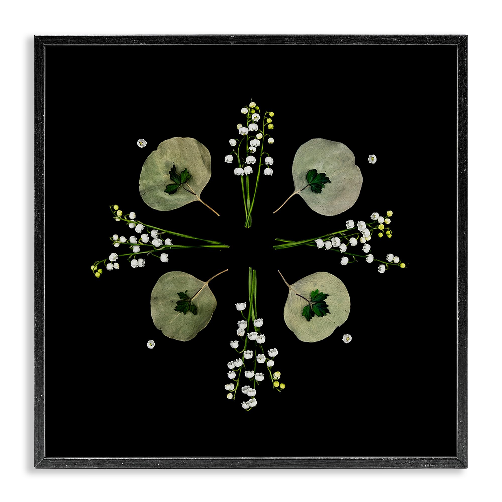 Stupell Industries Midnight Black (Textured) 'Leaves & Wildflowers On Black'| Framed Giclee Art