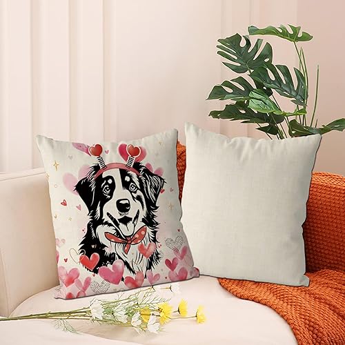 Miniatura 5 de GAGEC Fundas de almohada para el día de San Valentín de 18 x 18 pulgadas, diseño de perro Pitbull, funda de cojín con corazones de amor, decoración
