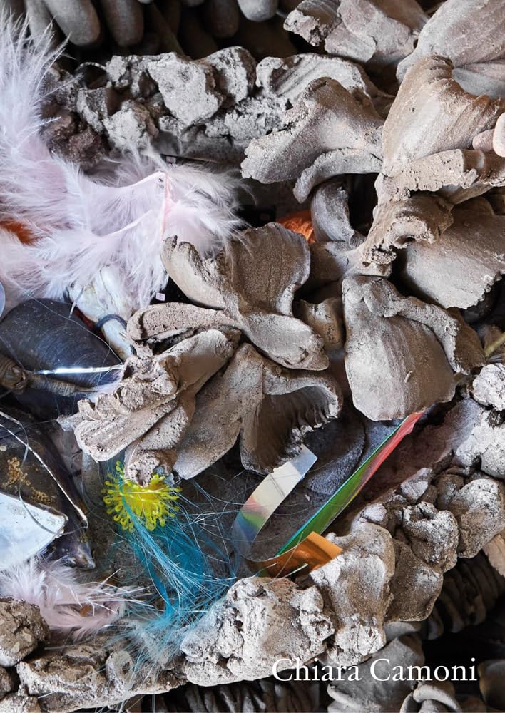 Chiara Camoni livre d'art contemporain et monographie d'artiste italienne
