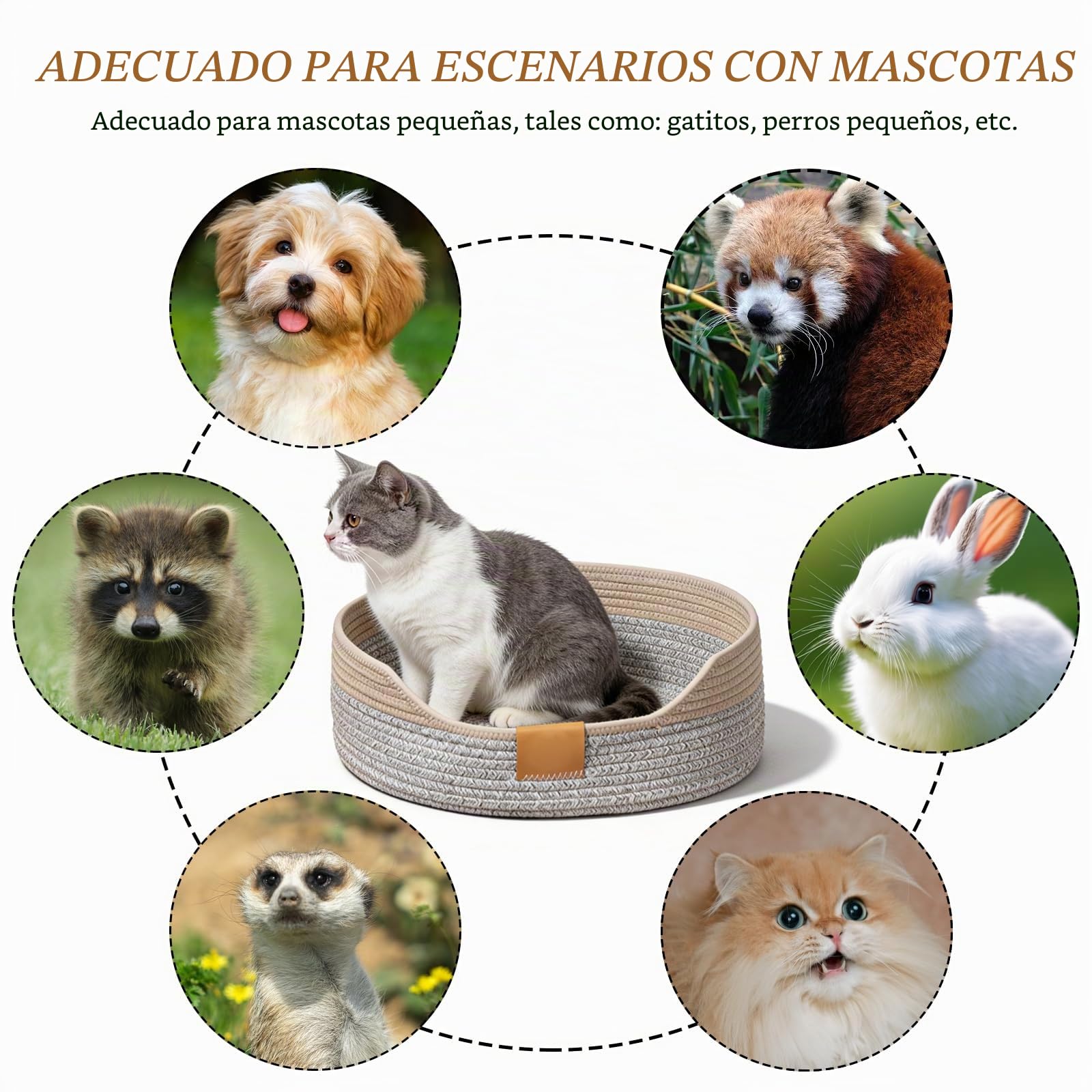 GOMETY Cama para gatos lavable, 50 x 15 cm, cesta para dormir de cuerdas de algodón, cama redonda para mascotas, cama para gatos, cesta para gatos, cama para gatos, nido para gatos, cama para perros