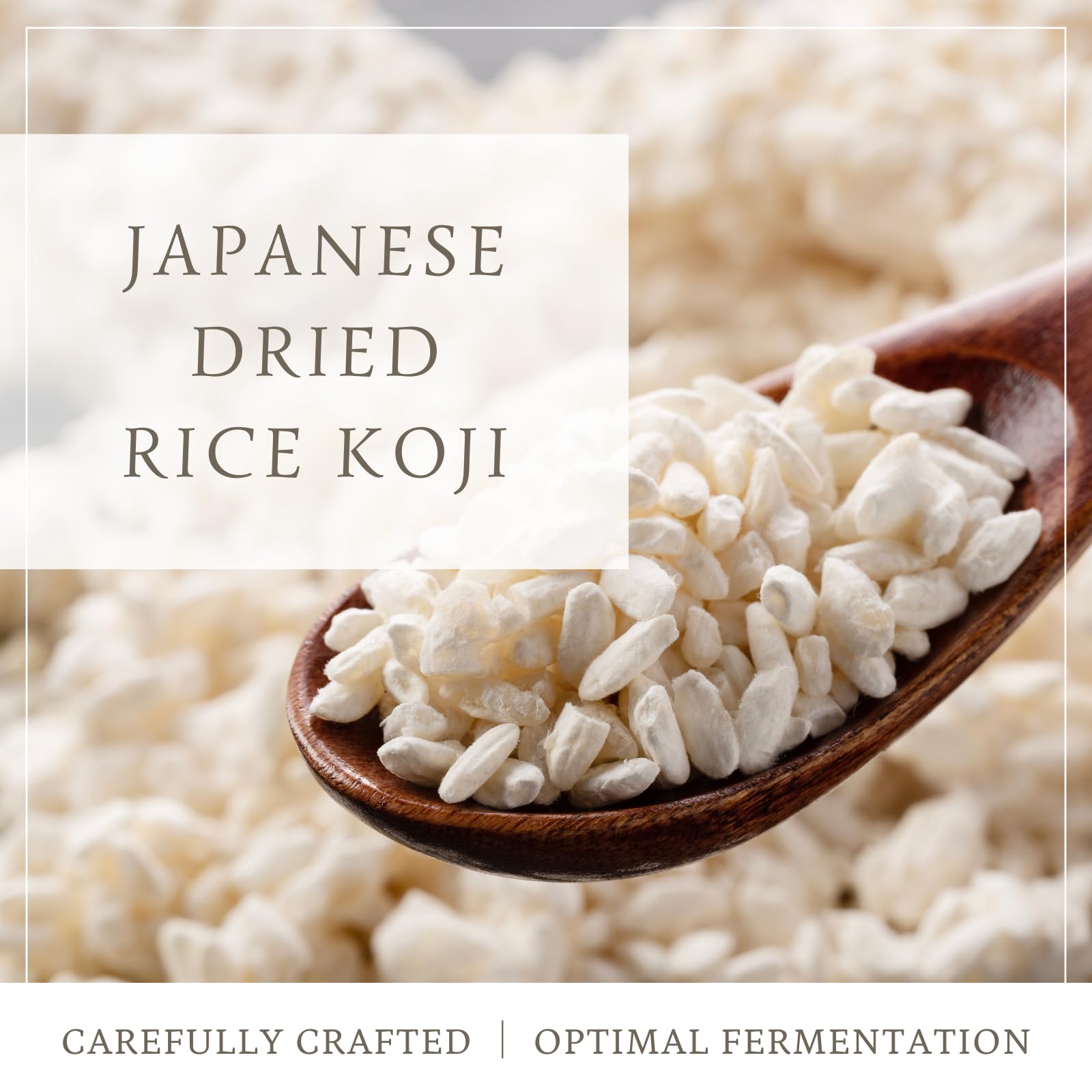 Amazon.com : Dried Rice Koji – Made in Japan | For Shio Koji, Miso