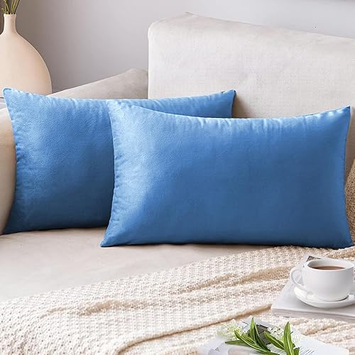 AUSSPVOCT Ative - Juego de 2 fundas de almohada de terciopelo suave, 12 x 20 pulgadas, fundas de cojín cuadradas para sofá, cama, automóvil, sala de