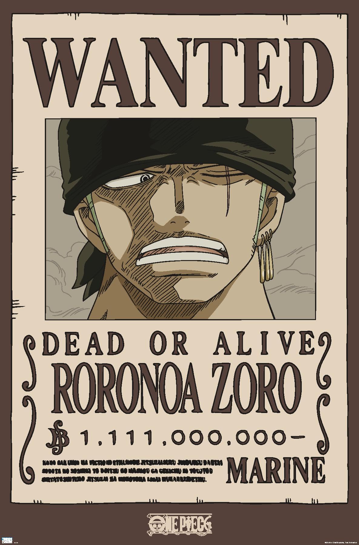 Amazon.com: One Piece - Roronoa Zoro Wanted Poster Wall Poster