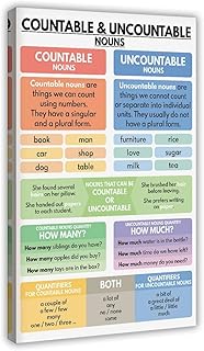 Countable And Uncountable Nouns, Grammar Explanation, Classroom Parts of Speech, Education Poster Print for Teen Boys Room Wall Art Canvas Painting Print 12x18inch(30x45cm)