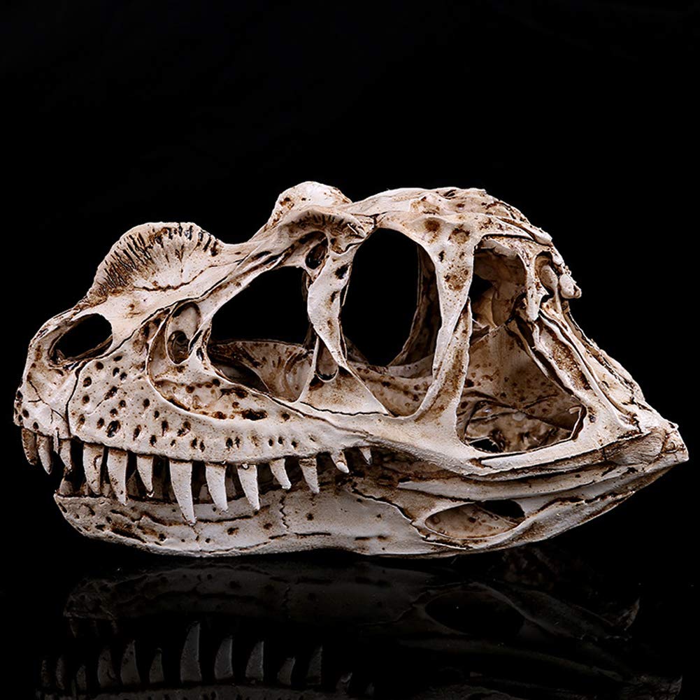 Model Statua Żywicy Ręcznie Robiony Dinozaur - Edukacyjne Zabawki Naukowe, Archeologiczne Badania Zwierząt, Model edukacyjny Anatomia B
