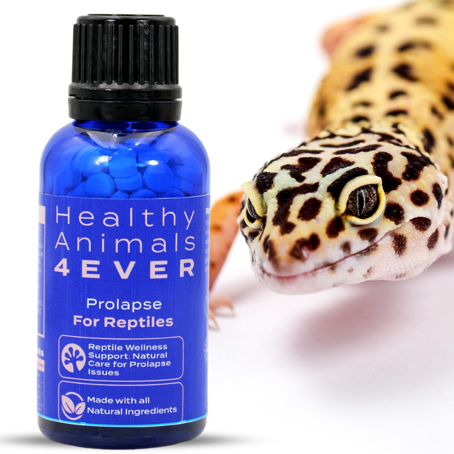 HealthyAnimals4Ever Reptile Wellness Support - Natural Care for Prolapse Management, Organ Retention & Enhanced Tissue Health - Gentle, Holistic Recovery Formula for Reptile Well-Being - 300 Count