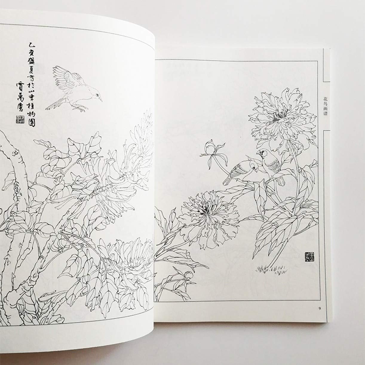 WellieSTR Chinese Painting Birds Paintings Art Book by Liu Qinfang Coloring Book for Adults Relaxation and Anti-Stress Painting Book