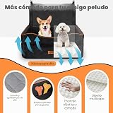 Ver la foto 6