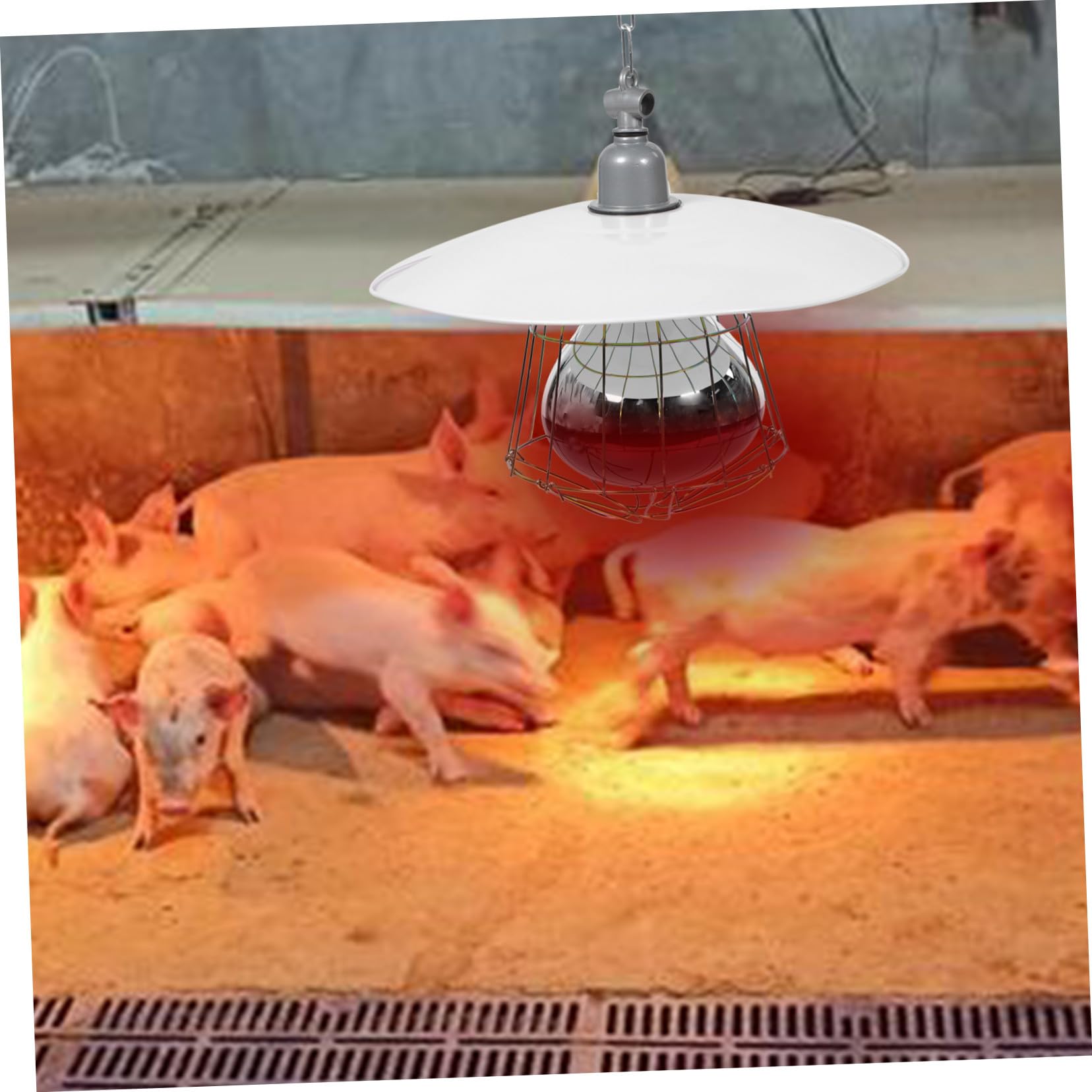 VICASKY 2 Pezzi Lampada Riscaldante per Gabbia Animali da Allevamento con Copertura in Metallo Accessorio Termico per Porcellini e Rettili Funzionamento Facile e Alta Efficienza Termica