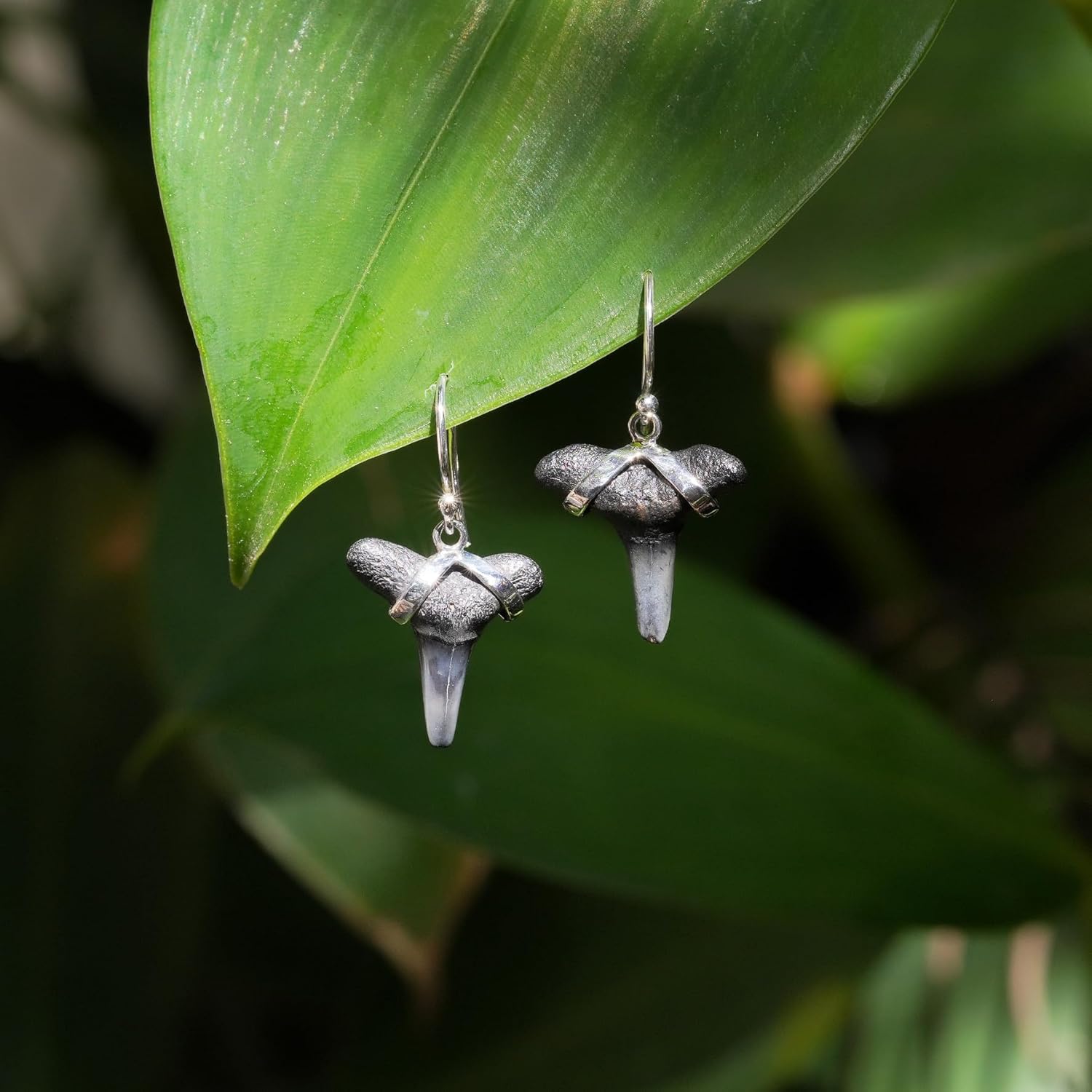 Fossil Shark Tooth Sterling Silver Earrings