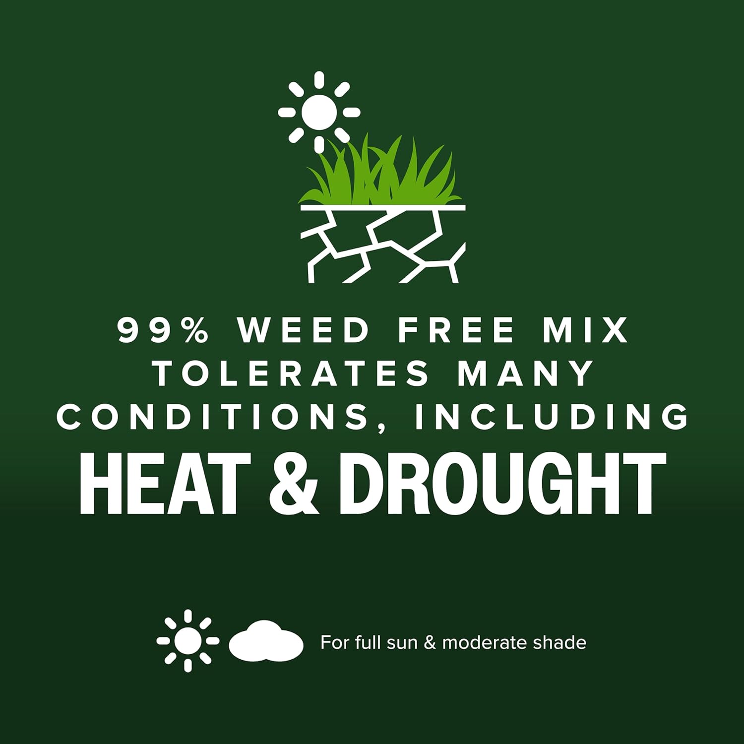 Scotts Kentucky 31 Grass Seed Mix - Premium Lawn Grass Seed, Covers Up to 5,000 sq. ft., 20 lb