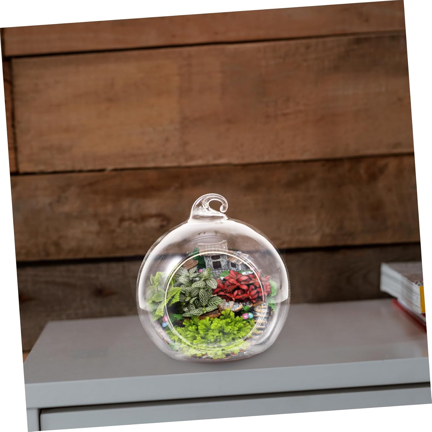 BESPORTBLE 12Pcs Modern Transparent Glass Globe Terrarium Elegant Air Plant Holders for Home Decor Succulent Display Micro Landscape Creation Vases