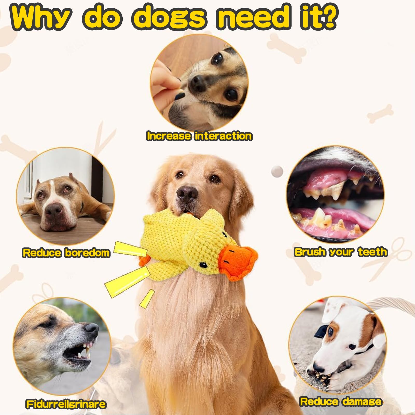 View 6