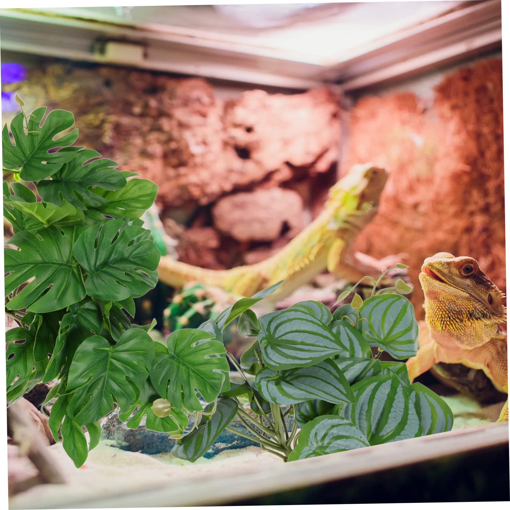 BESPORTBLE 10piezas Plantas Artificiales Decorativas para Terrario y Acuario Simuladas para Reptiles Fácil Instalación Ventosas Decoración De Hábitat para Tortugas y Peces